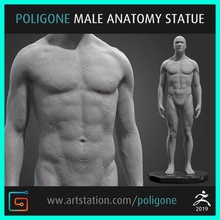 male anatomy statue art artofpoligone 3d cgart 3dart character clay zbrush body sculpture man human 3d print model - Mito3D