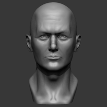 macho busto impresión en 3d listo modelo art retrato hombre de la cara personas humanos ojo escultura decoración cabeza cuerpo estatuilla piel calvicie 3d print model - Mito3D