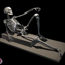 male female poseable skeleton anatomy reference 3d print model - Mito3D