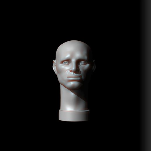 masculino cabeça John Asaro estrutura escultura johnasaro fêmea personagem guia ferramenta tutorial malha pkanesoftheface semelhança análise anatomia Aprendendo estátua impressão arte figura 3D print model - Mito3D