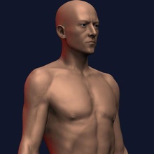 male model base stl - ztl art toy anatomy man 3d print model - Mito3D