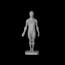 erkek uçak gövde - john asaro sanat şekil anatomi heykel vücut johnasaro uçaklar aracı arttool adam manken çalışma yapısı aydınlatma <url> resim eskiz heykeller stl n diğer 3d print model - Mito3D