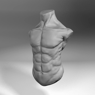 masculino torso esculturas 3d print model - Mito3D