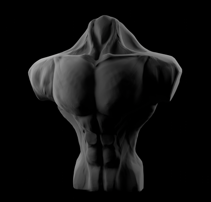 male torso body art bodybuilding gym muscles sculptures 3d print model - Mito3D