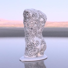 male torso voronoi art design louvre 3d print model - Mito3D