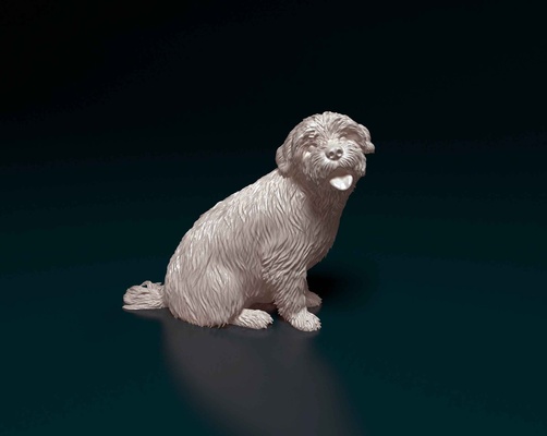 maltese casa cane animali stampa domestici 3d print model - Mito3D