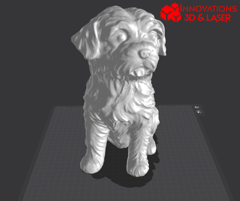 maltese 3d cane modello stampa file fai animale modellazione to figurina passatempo bichon scultura regalo amanti creativo attività progetto 3d print model - Mito3D