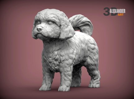maltés 3d impresión modelo perro naturaleza mamífero animal mascota escultura estatuilla recuerdo presente Arte esculturas estatua perrito faldero 3d print model - Mito3D