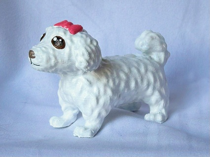 maltesisch niedlich Bogen Hund Hunde Hündchen Welpe Welpen Tier bezaubernd Pelz pelzig 3d print model - Mito3D