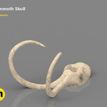 mamut kafatası yüzük sanat bilim doğa mammuth ölüm kemikler hayvanlar 3d print model - Mito3D