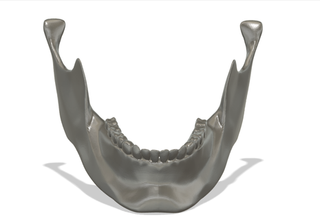 mandible -jaw medical dental mandibal jaw skull bones 3d print model - Mito3D