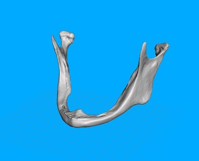 mandíbula dentista odontologia 3d print model - Mito3D