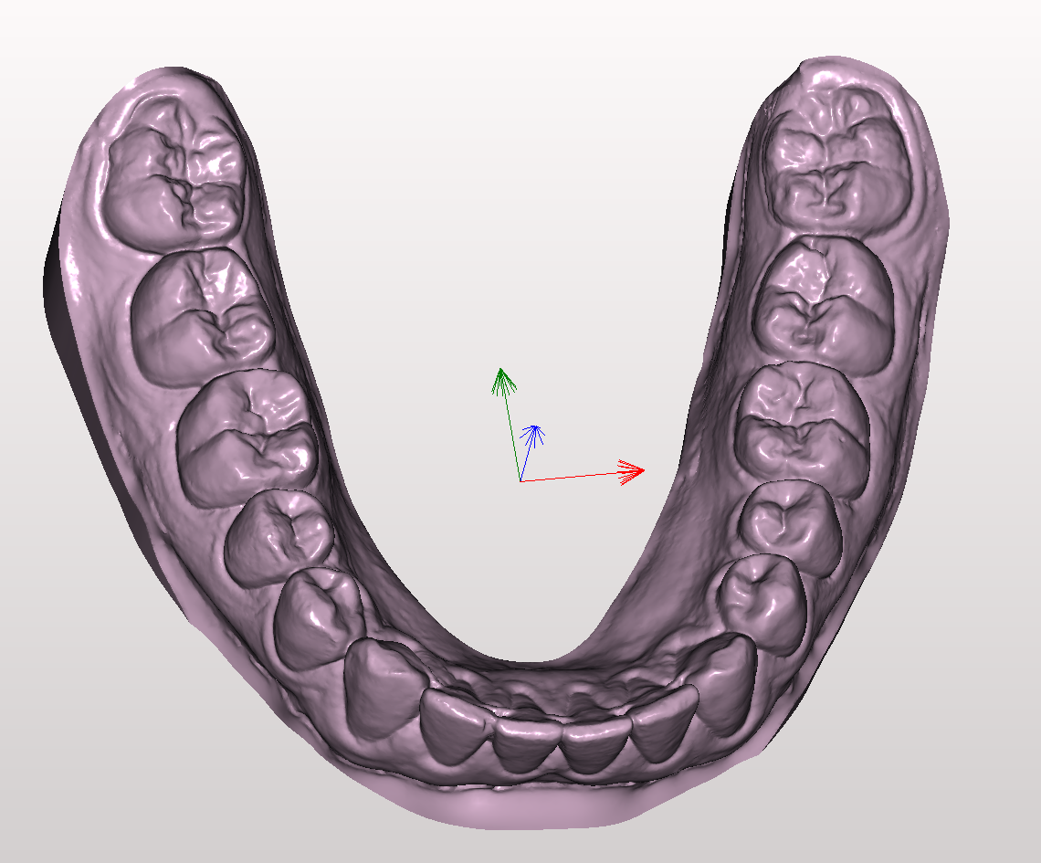 mandibular teeth 3D print model - Mito3D
