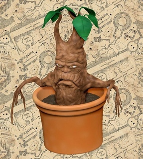 mandragore haleter harry potier films plante cadeau fleur magie fantaisie 3d print model - Mito3D