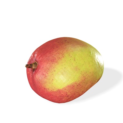 mango gemüse obst baum wald hölzern holz blume pflanze lebensmittel getränk saft zuhause haus apfel 3d modell pflug chui banane pfirsich gras 3d print model - Mito3D