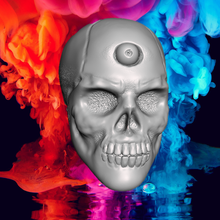 manhattan cráneo 3d print model - Mito3D