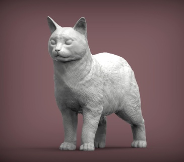 isla Man gato 3d impresión modelo animal mamífero salvaje mascota gatito naturaleza escultura estatuilla recuerdo presente esculturas Arte 3d print model - Mito3D
