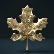 der maple leaf Kunst laub Blätter Baum pflanze Natur flora 3d print model - Mito3D
