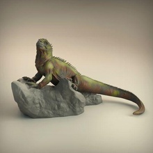deniz iguana 3d print model - Mito3D