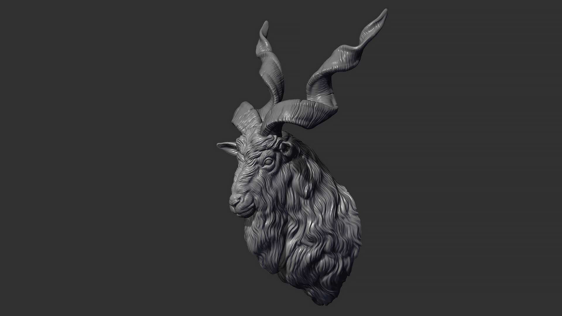 markhor goat head art sculpture statue figure animal nature horns printable 3D print model - Mito3D
