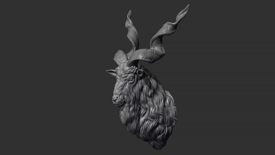 markhor goat head art sculpture statue figure animal nature horns printable 3d print model - Mito3D