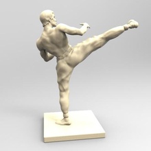 arte marziale bruce leggere il karate l'aikido film calcio di punizione carcassa la scultura carattere collezione 3d print model - Mito3D