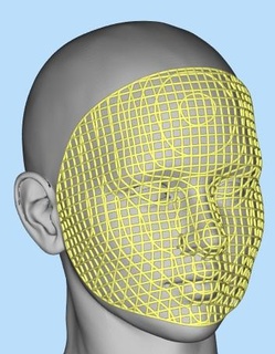 mask v5 3d printing faceshield face protection diy head toy voronoi lattice 3d print model - Mito3D