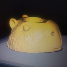 mate capybara various pencil bowl animal 3d print model - Mito3D