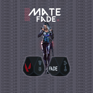 mate fade valorant csgo shooter game videogames controller argentina 3d print model - Mito3D