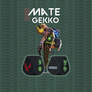 mate gekko valorant csgo shooter game videogames controller argentina 3d print model - Mito3D