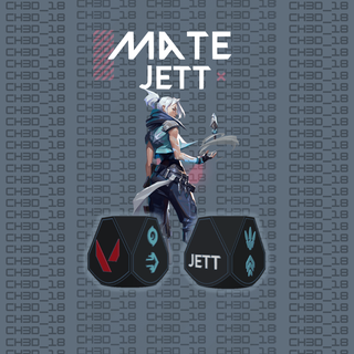 mate jett valorant csgo shooter game videogames duelist argentina 3d print model - Mito3D