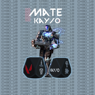 Kamerad Kay tapfer csgo Schütze Spiel Videospiele Initiator Argentinien 3d print model - Mito3D