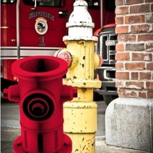 companheiro hidratante bombeiro companheiros polímero acessório frida robert 3d print model - Mito3D