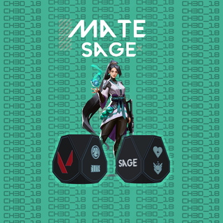 mate sage valorant valorant csgo mate shooter game videogames sage sentinel argentina  3d print model - Mito3D