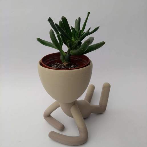 Matera Zahl Lügen Blumentopf gestalten Zen 3D print model - Mito3D