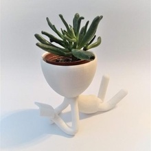 matera Humain figure train lire pot fleur forme Zen 3d print model - Mito3D