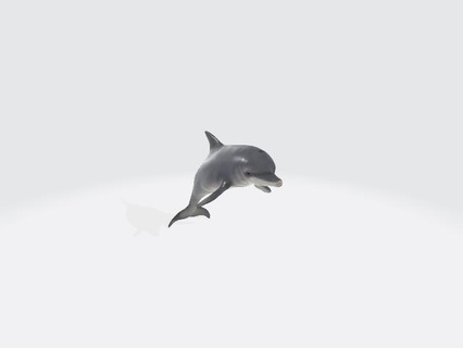 max Delfin Tiere 3d print model - Mito3D