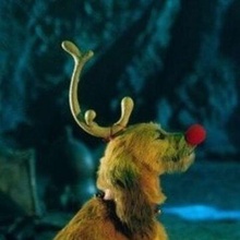 max Grinch corno antlermax gadget Natale cane corna servo cappello verde mascotte animale domestico capi abbigliamento Accessori animali domestici cappelli 3d print model - Mito3D
