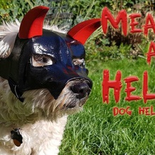 mean hell dog helmet fashion cosplay costume devil dogs halloween scary horns pet pets satan 3d print model - Mito3D