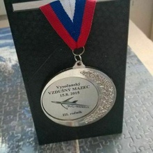 medal holder decor 3d print model - Mito3D