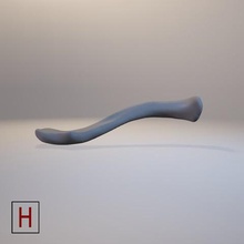 medical design Schlüsselbein verschiedene Mensch Anatomie 3d print model - Mito3D