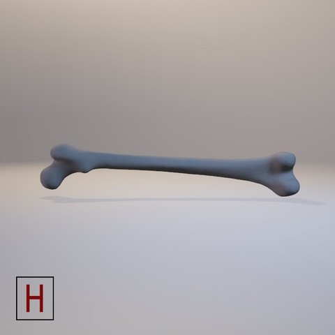 medical design femur verschiedene Mensch Anatomie 3D print model - Mito3D