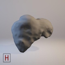 tıbbi tasarım karaciğer çeşitli insan anatomi 3d print model - Mito3D