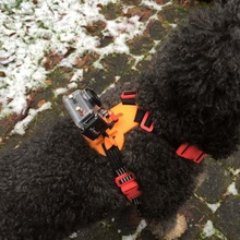 medium dog camera harness gadget rollei gopro dogs created freecad mount 3d print model - Mito3D