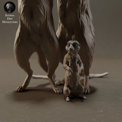 suricatos animal áfrica suricata fofa bebê selvagem animais selvagens criatura realista escultura estatueta figura miniatura savana pastagem deserto 3d print model - Mito3D