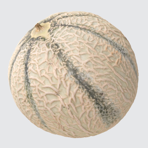 melon fruit 3D print model - Mito3D