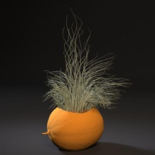 melone fioriera art altri interni il vaso pot generale la decorazione arredamento stampante 3d 3d print model - Mito3D