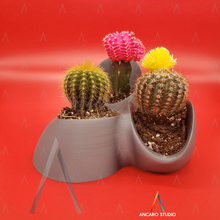 melsi pot pottery cactus succulent garden desk office orgasnic 3d print model - Mito3D