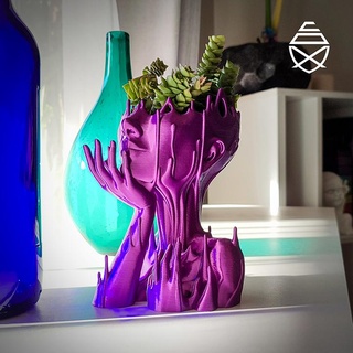 melted girl pot planter decor house pipecox art flowerpot vase suculent 3d print model - Mito3D