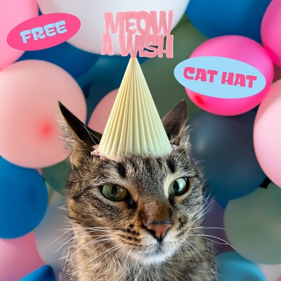 miau gato festa chapéu acessórios moda cão cosplay animal aniversário vaso modo livre mascarar 3d print model - Mito3D